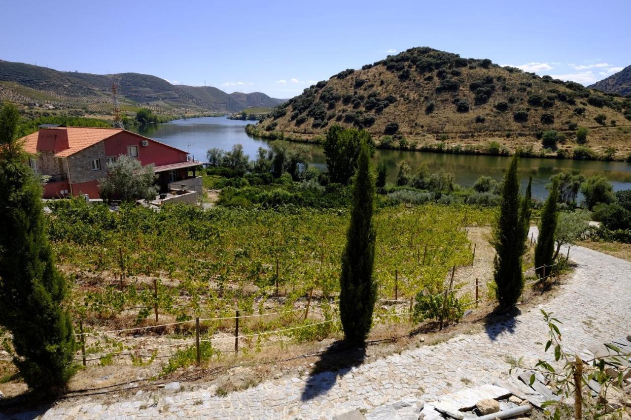 Pensjonat Olhares Do Douro Torre De Moncorvo Zewnętrze zdjęcie