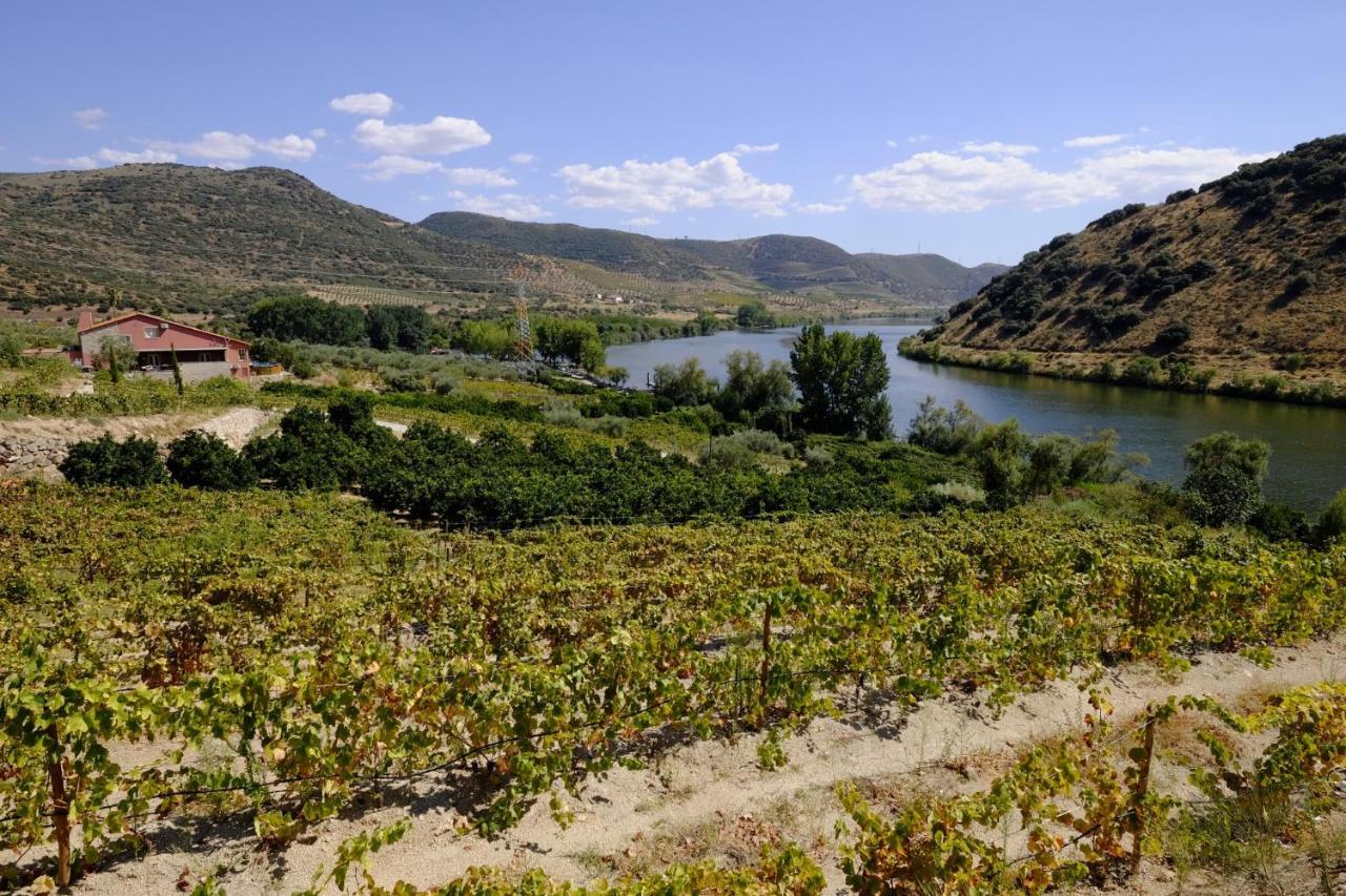 Pensjonat Olhares Do Douro Torre De Moncorvo Zewnętrze zdjęcie