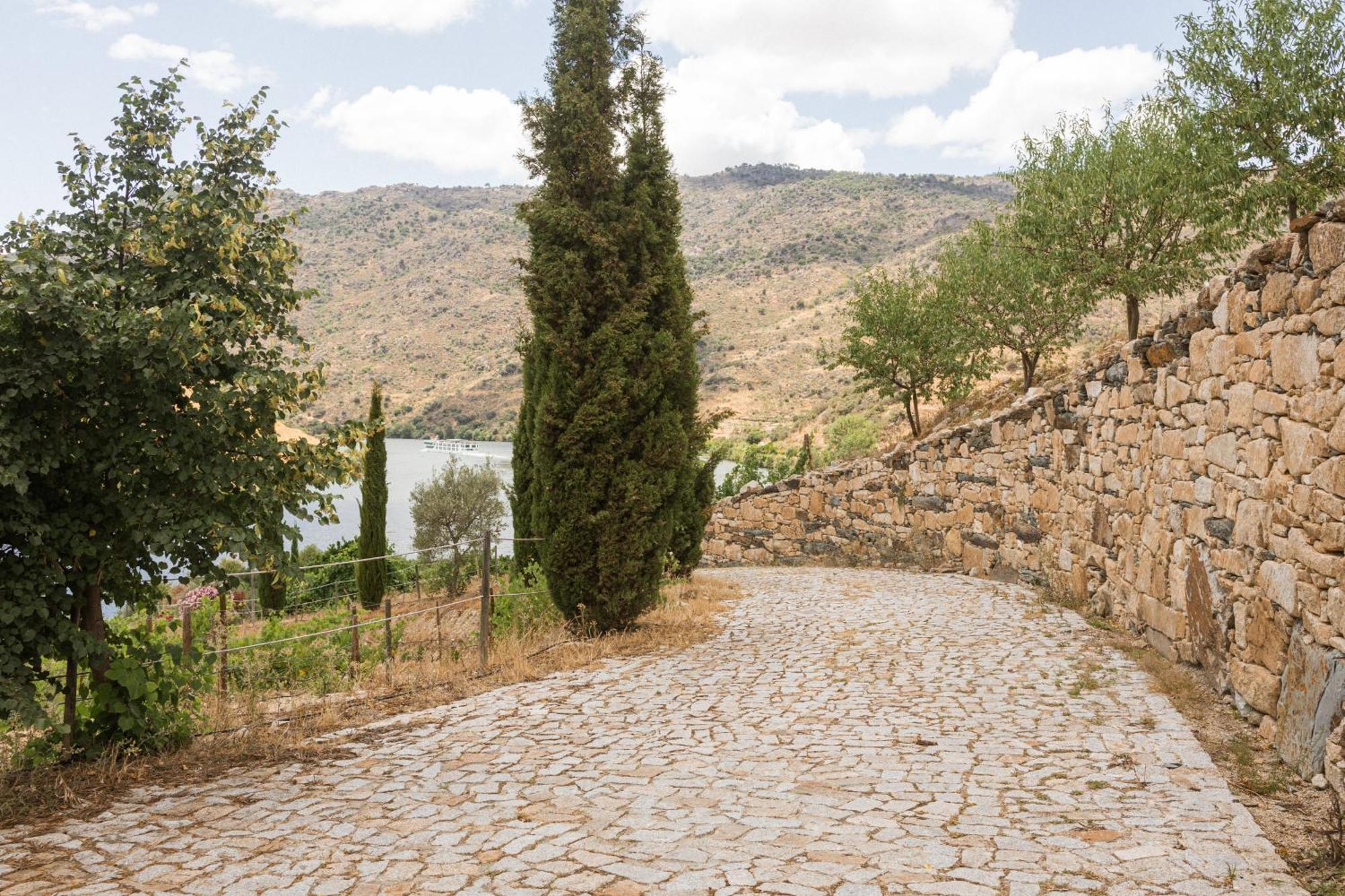 Pensjonat Olhares Do Douro Torre De Moncorvo Zewnętrze zdjęcie