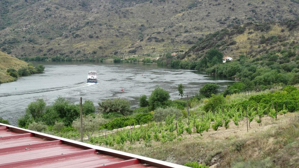 Pensjonat Olhares Do Douro Torre De Moncorvo Zewnętrze zdjęcie